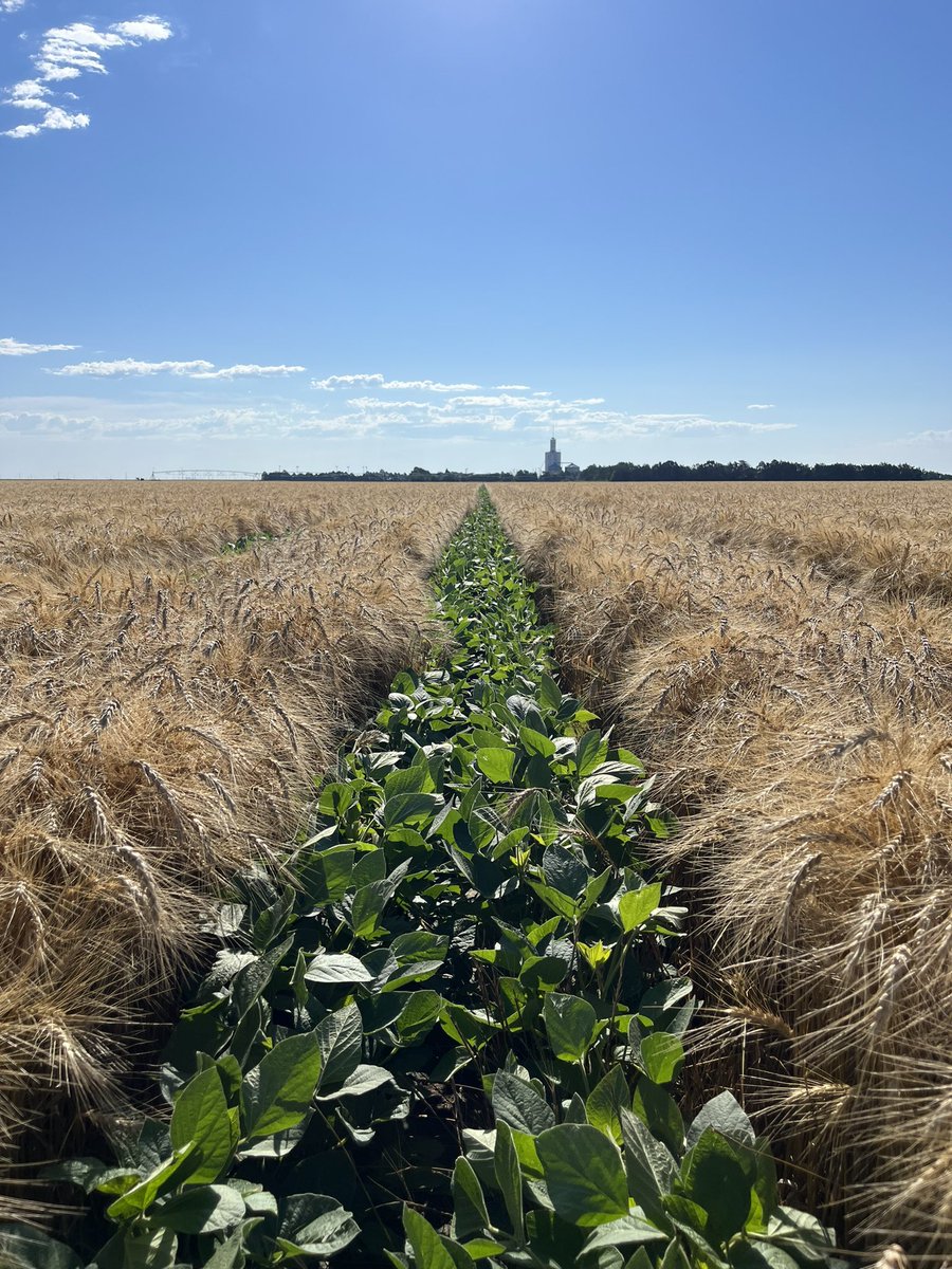 wingfieldfarms's tweet photo. What an amazing year! https://t.co/gGq33H14UI