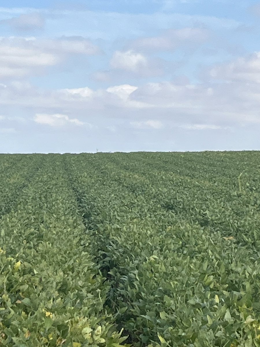 What an amazing year!