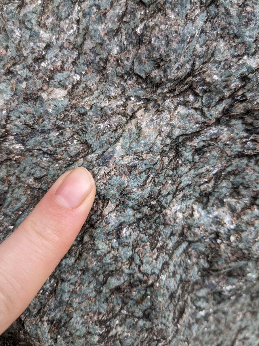 CatrionaDM's tweet photo. Still in the Adriatic crust, but today @DurUniEarthSci found minerals indicating high pressure conditions; jadeite, glaucophane and phengite - the first hints of subduction related to the Alpine Orogen!
#subduction #blueschist #eclogite #fieldwork #handlens https://t.co/fjnE1awZav