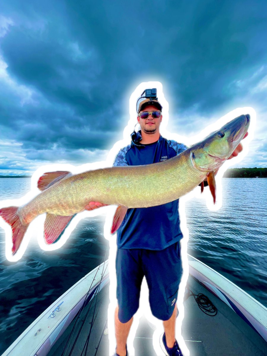 New video out!!! youtu.be/c-dl8CAAkUI?si… #Muskellunge #muskie #Esox #silverwolf #riverwolf #ski #lunge #beautifulpike #fishof10000casts #freshwaterbarracuda #Greatpike #maashkinoozhe #uglypike #barredmuskie #canada #ontario #ontarioangler #fisherman #musky #muskycharters
