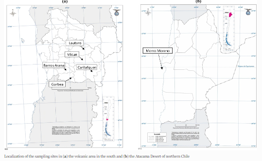 Published📢Isolation of Water–Dispersible #Colloids from #Volcanic and #Arid Bulk Soils

Read at rdcu.be/dmano