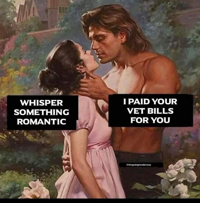 @wrexhamsub1 https://t.co/naosc4igzG<a class="tags" target="_blank" title="On Twitter" href="/?out=eyJ0eXAiOiJKV1QiLCJhbGciOiJIUzUxMiJ9.eyJpYXQiOjE3MjMwMTg2MTgsImlzcyI6InR3cG9ybnN0YXJzLmNvbSIsIm5iZiI6MTcyMzAxODYxOCwiZXhwIjoxNzU0NTU0NjE4LCJyZWRpcmVjdF91cmwiOiJodHRwczovL3R3aXR0ZXIuY29tL3dyZXhoYW1zdWIxIn0.CrMCarmqBWa8NAzxNJiQbHS0xZHXulpMGMWthXWGp1yoo__2NiqisF-d6nCFr22L6mR129uegYLmIc5ySe6tEw">@wrexhamsub1</a><a href="/tag/reimbursement"class="tags"><span>#reimbursement</span></a>