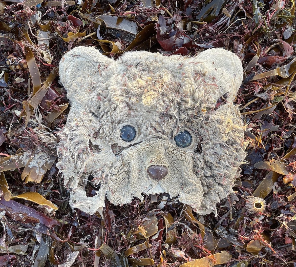 LegoLostAtSea's tweet photo. Sinbad - the bear washed up from the deep - as restored by Anglican priest @CassWoollibold. A story of hope. https://t.co/TWkdj4Kxwo