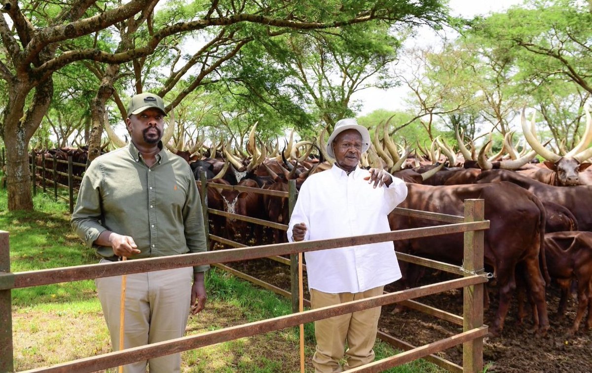 Judith_Mukidi's tweet photo. Why do I want to sing the national anthem on viewing this picture 🤩 @mkainerugaba https://t.co/ZAdCMk9Lyj