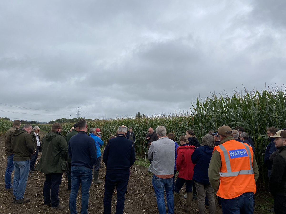 PinstoneComms's tweet photo. Laura and Lucy have been out in Nottinghamshire today, reporting from a client event supported by the @maizegrowers association.
Great to see 20+ local maize growers keen to boost crop sustainability. Here they are taking inspiration from impressive #undersowing trials. 🌽 https://t.co/D5aeDAoEpd