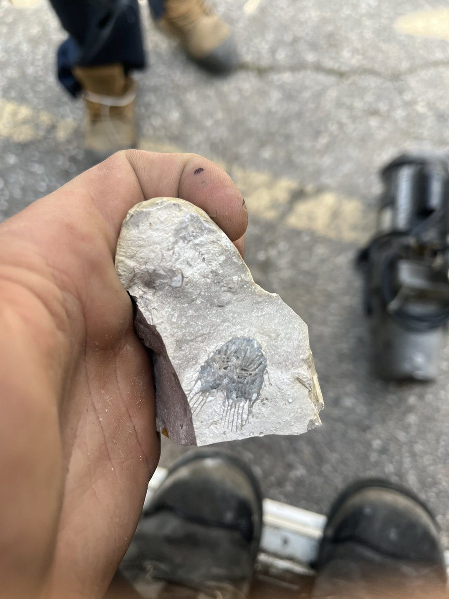 AricBoland's tweet photo. @UWaterloo is this a find ? https://t.co/ciolFsOjZ5