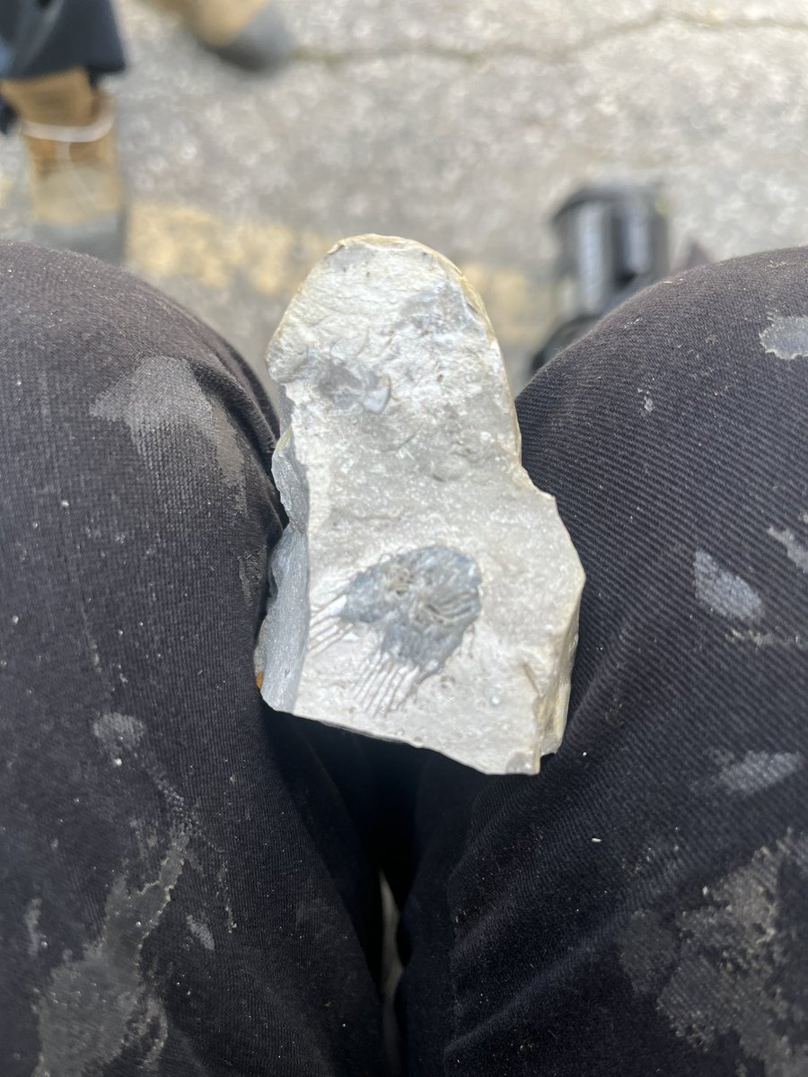 AricBoland's tweet photo. @UWaterloo is this a find ? https://t.co/ciolFsOjZ5