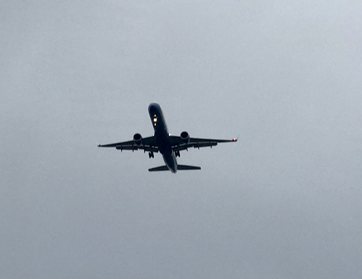 𝑀𝑒𝓁𝒾𝓈𝓈𝒶 𝒩𝑒𝒶𝓇 tweet media