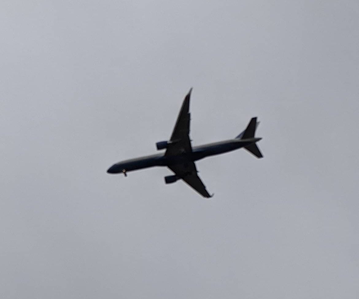 𝑀𝑒𝓁𝒾𝓈𝓈𝒶 𝒩𝑒𝒶𝓇 tweet media