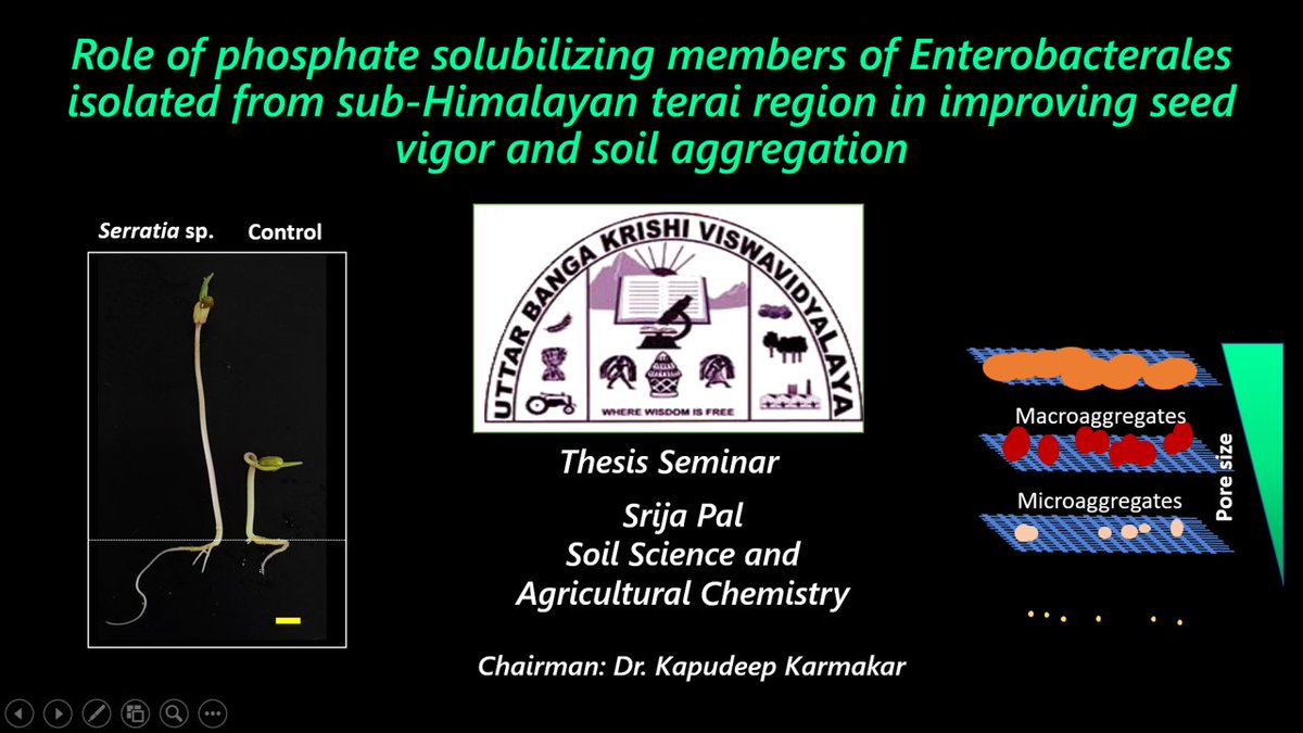 My first student (MSc), Ms Srija Pal, defended her thesis today. Paper is in revision. Stay tuned. #SoilHealth #SoilPollution #microbiology #himalayansoil #Biotechnology