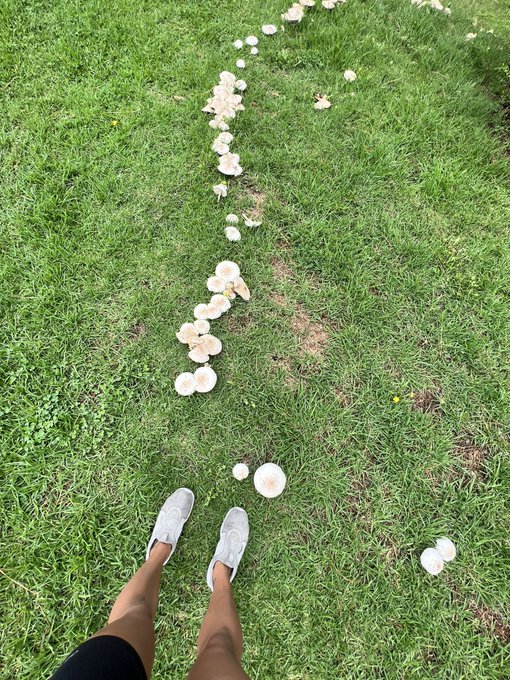 Offline https://t.co/af02CmfxTz<a href="/tag/blissidys"class="tags"><span>#blissidys</span></a>