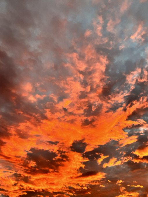 Offline https://t.co/af02CmfxTz<a href="/tag/blissidys"class="tags"><span>#blissidys</span></a>