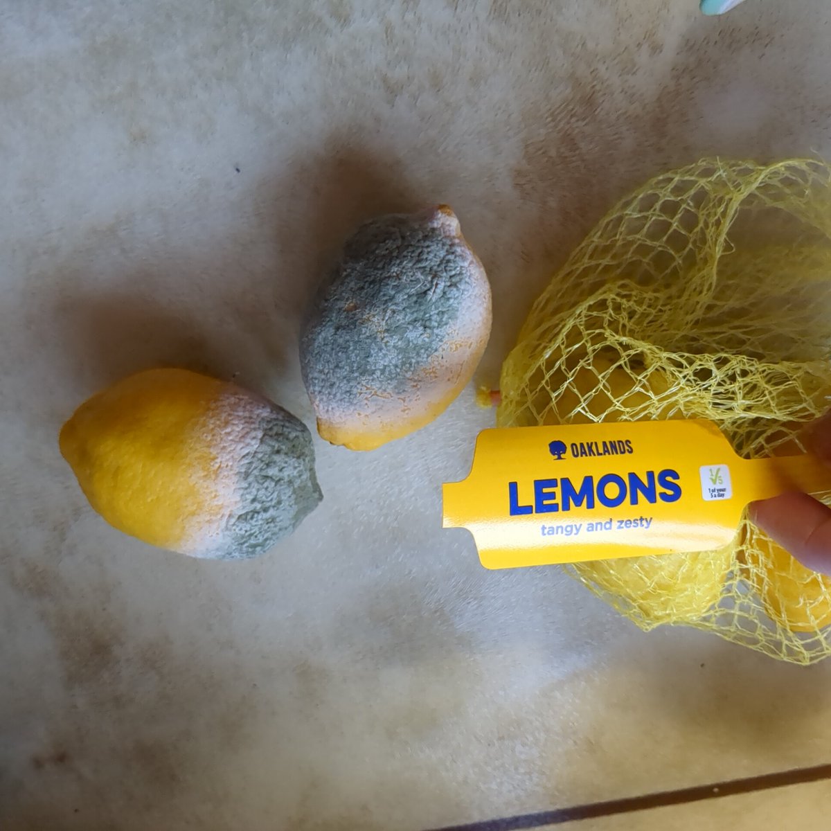 .<a href="/lidl_ireland/">Lidl Ireland</a> bought on Saturday and rotten on Thursday - why do I bother?