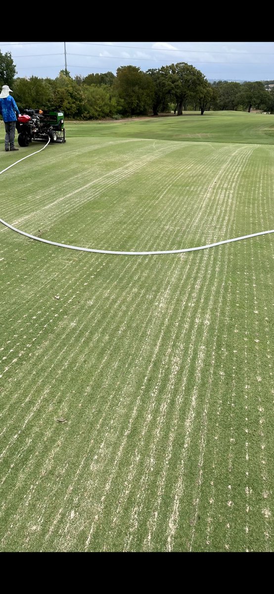 Mark Herrera tweet media