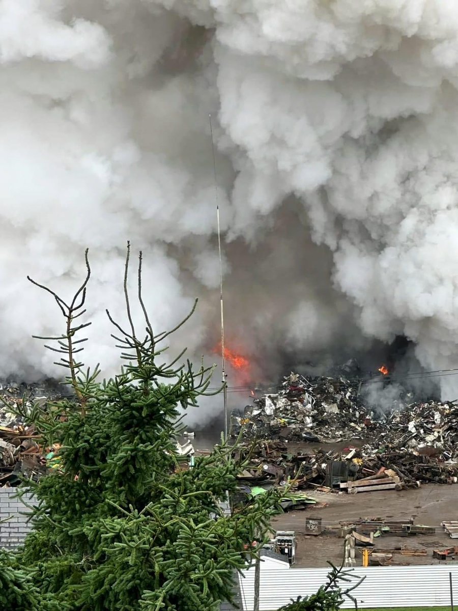 Don Darling tweet media