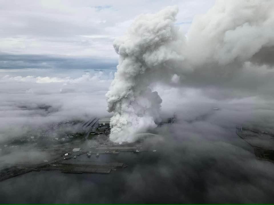 Don Darling tweet media