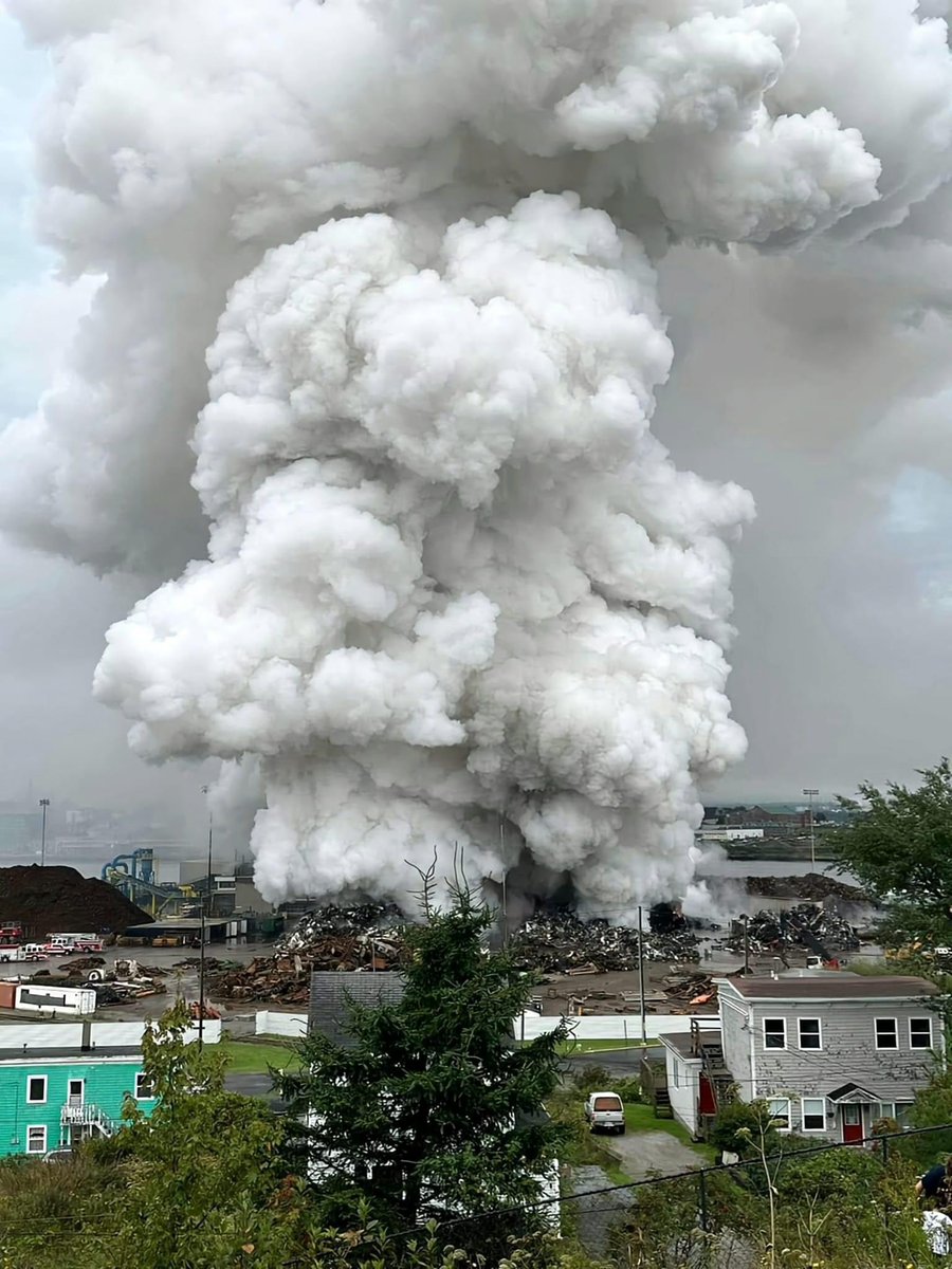 Don Darling tweet media