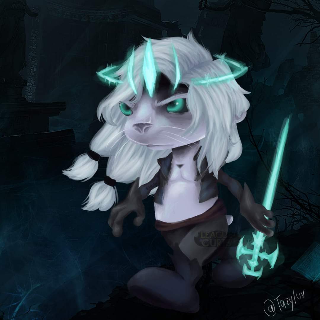 radixomnium's tweet photo. 😾 https://t.co/kC8kgpjREi