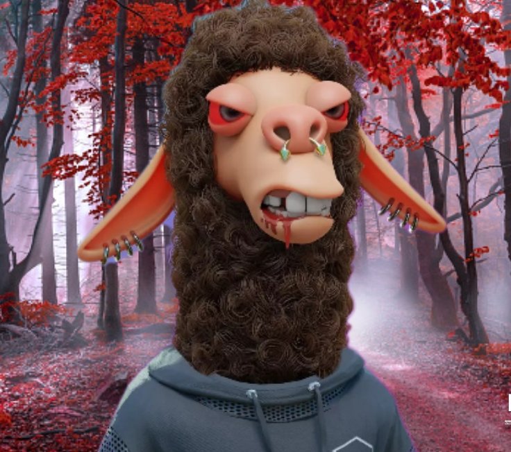 <a href="/LaidBackLlamas/">Laid Back Llamas</a> 🦙🚃
