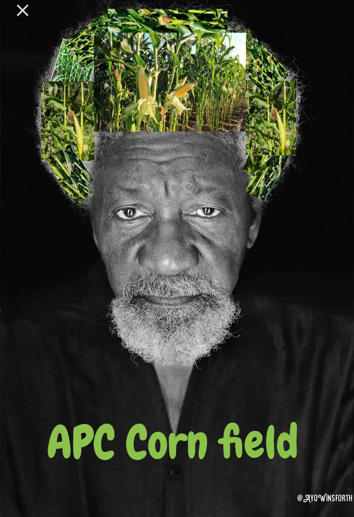 Father CORNfessor.

All the children in your corn field are suffering from drug pandemic. 
As usual, is Peter Obi the problem?