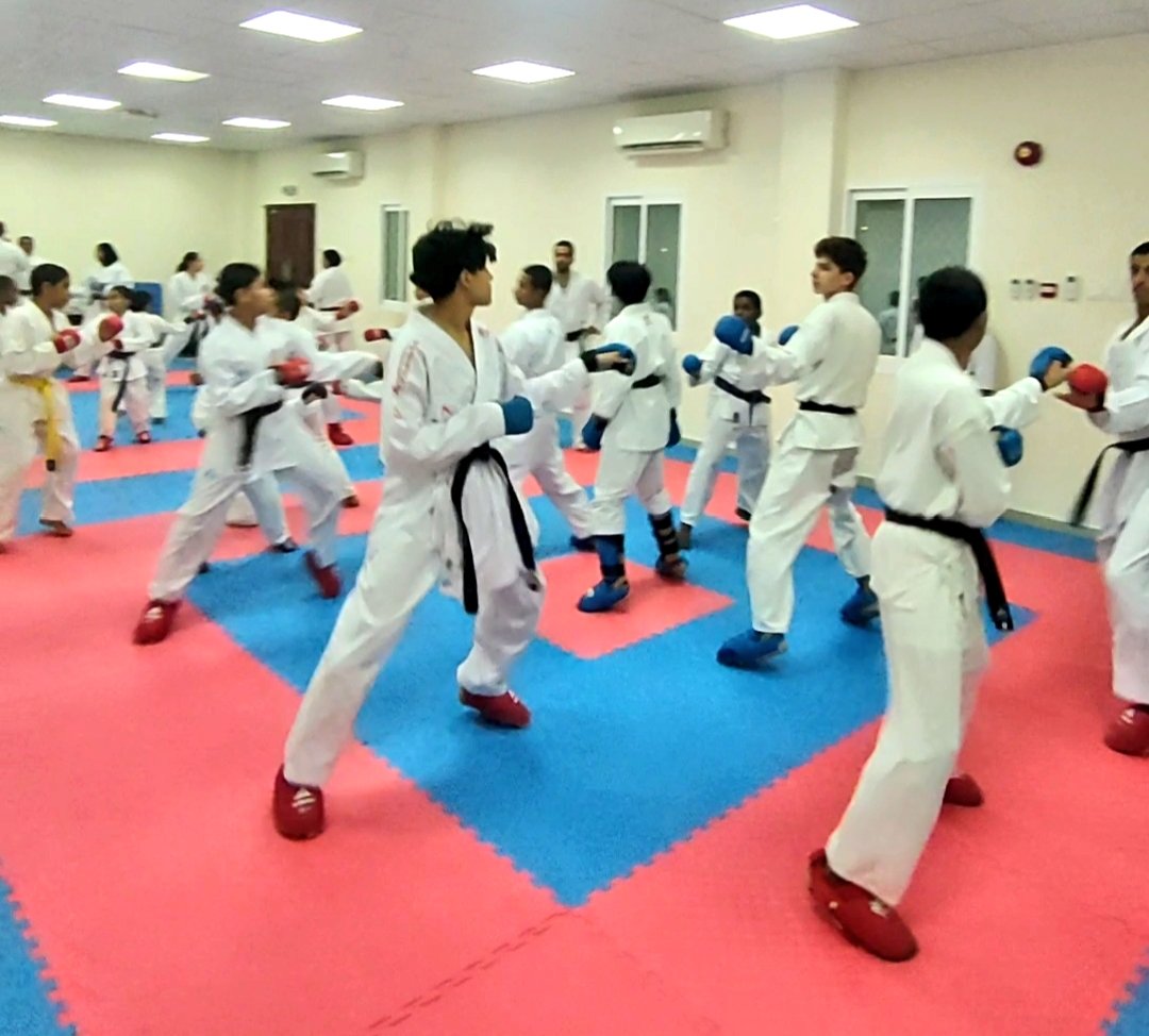 تأسيس مركز متخصص لإعداد الرياضيين في الكاراتيه بسلطنة عمان
(١)
تعتبر الرياضة جزءًا هامًا من حياة الشباب وتطورهم ، وتلعب دورًا حاسمًا في تعزيز الصحة البدنية والعقلية. ومن بين الرياضات التي تتطلب تدريبًا صارمًا وتقنيات متطورة هي رياضة الكاراتيه.