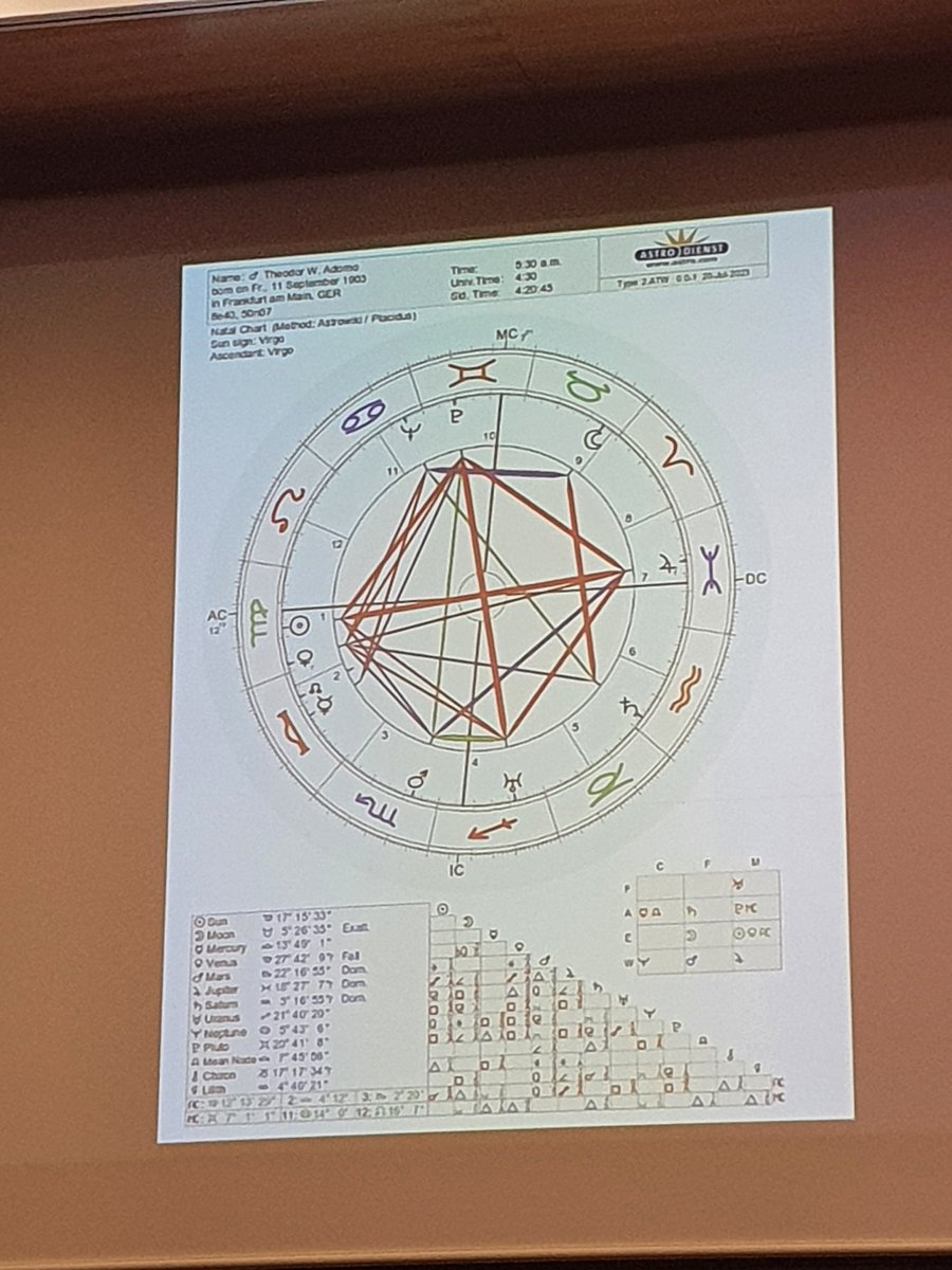 Bold move: Poulomi Saha presenting Theodor W. Adorno's  birth chart at the 'Futuring Critical Theory' conference.