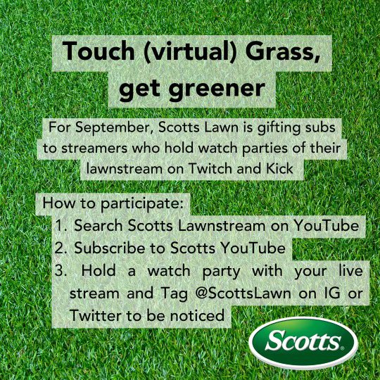 grasstouchgrass｜TikTok Search