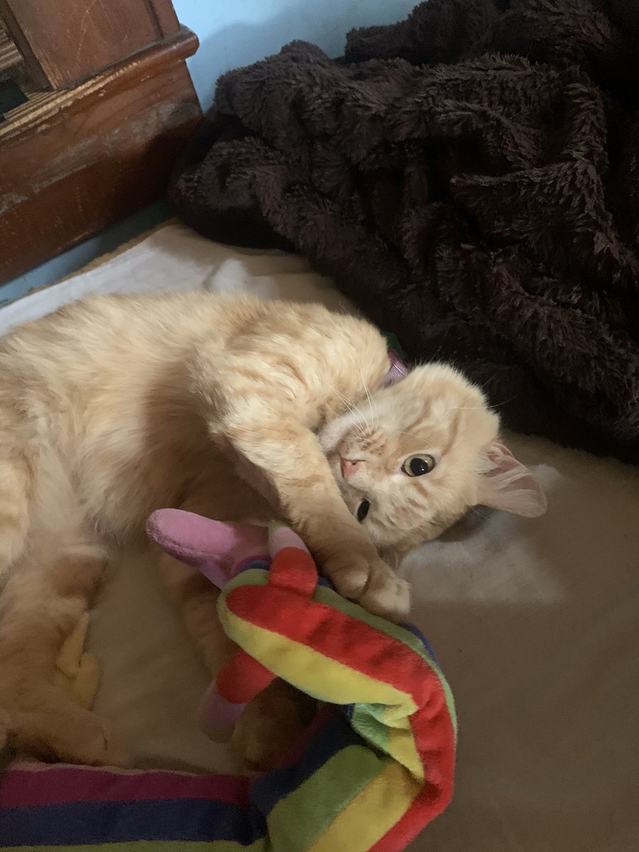 dawson ! tweet media