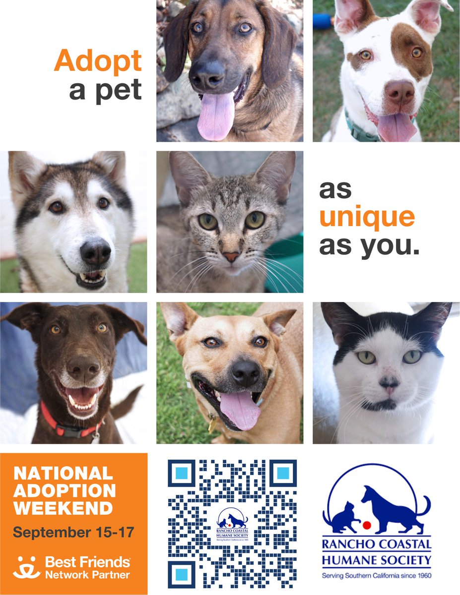 RCHumaneSociety's tweet photo. We're open 11-4 today as we wrap up @bestfriends National Adoption Weekend. Come say hi to these friendly faces! #AdoptDontShop https://t.co/ElWDqqzNwd