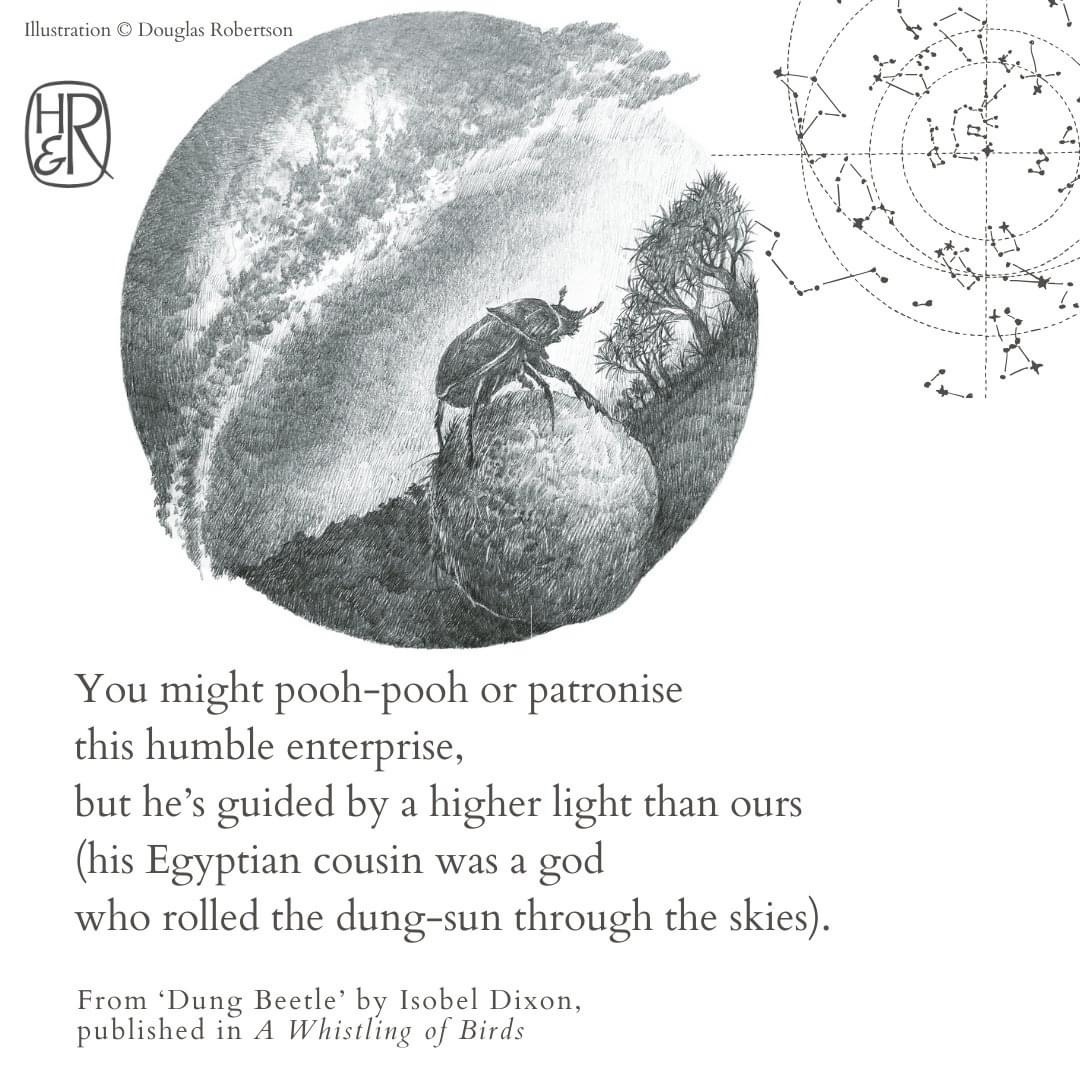 Churcher's College (@churchers1722) on Twitter photo Art teacher, Mr Robertson, has illustrated the poetry book "A Whistling of Birds", written by Isobel Dixon.
Pop along to a book signing and drawing session <a href="/_onetreebooks/">One Tree Books</a> this Saturday 10am-1pm.
There will also be a reading, talk and exhibition at Churcher's on 31 October, too! Art teacher, Mr Robertson, has illustrated the poetry book "A Whistling of Birds", written by Isobel Dixon.
Pop along to a book signing and drawing session <a href="/_onetreebooks/">One Tree Books</a> this Saturday 10am-1pm.
There will also be a reading, talk and exhibition at Churcher's on 31 October, too!
