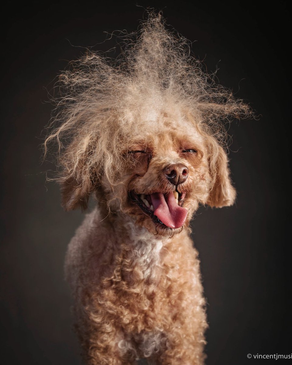 Changemaker Talent tweet media