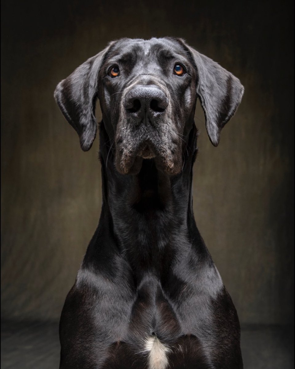 Changemaker Talent tweet media