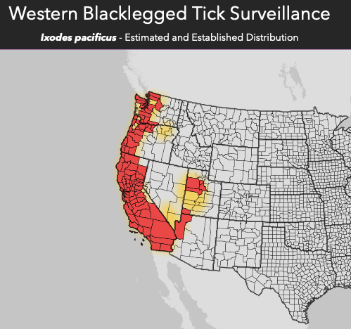 The dist of Ixodes pacificus tick, w/ Lyme disease and other infxns, much broader than recognized. #lymedisease is here in west. See our tick bite first aid page for tons of info on prevention and what to do about a #tickbite. ccfmed.com/tick-bite-firs… #lyme #bartonella #babesia