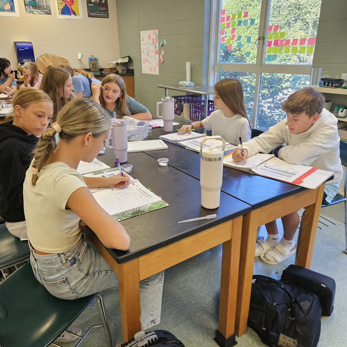 Susan Anderson tweet media