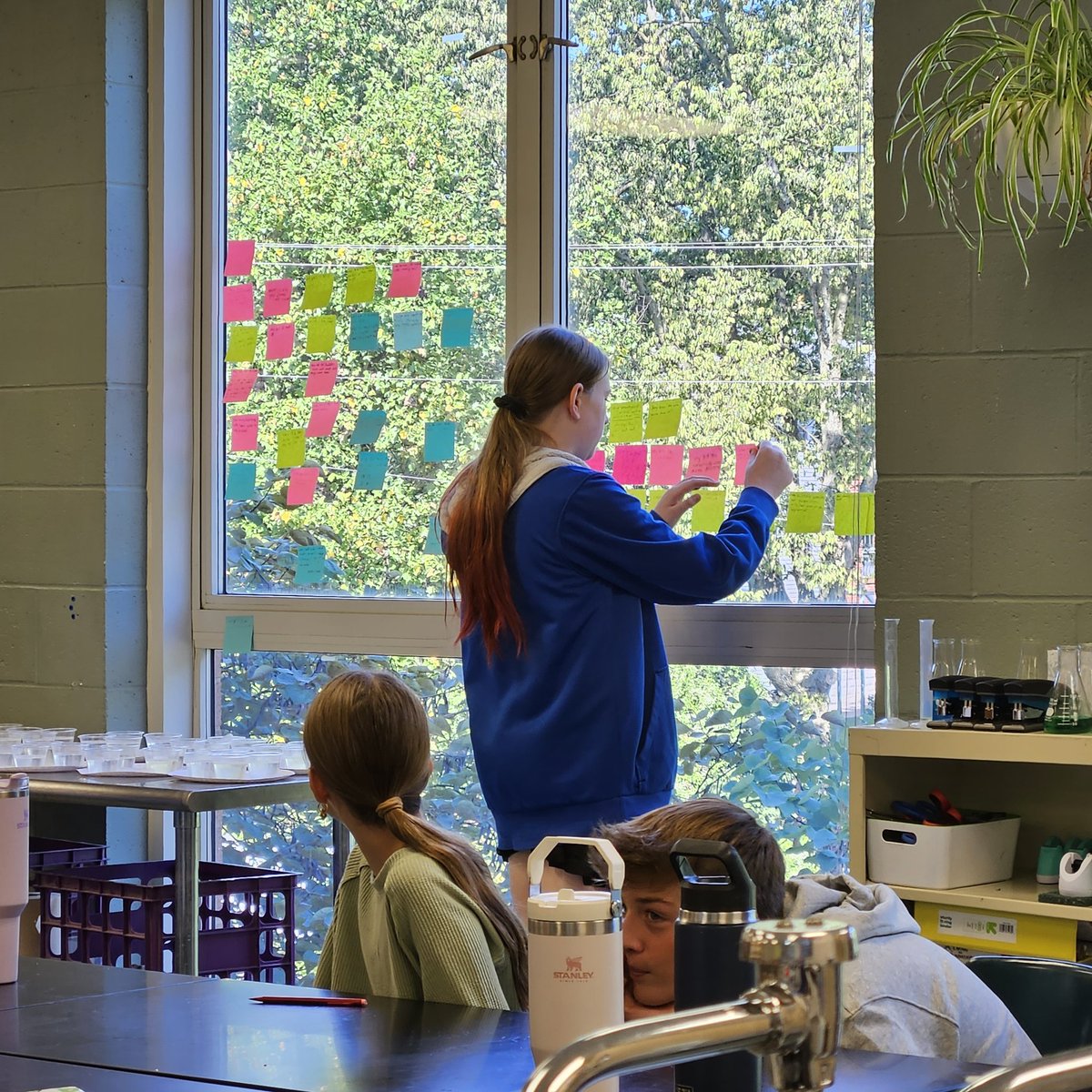 Susan Anderson tweet media