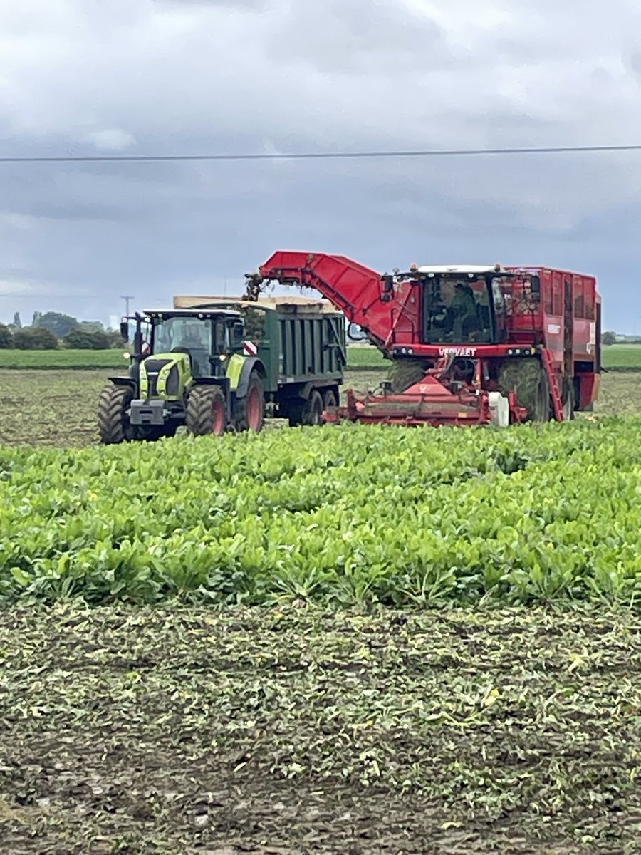 james pocklington tweet media