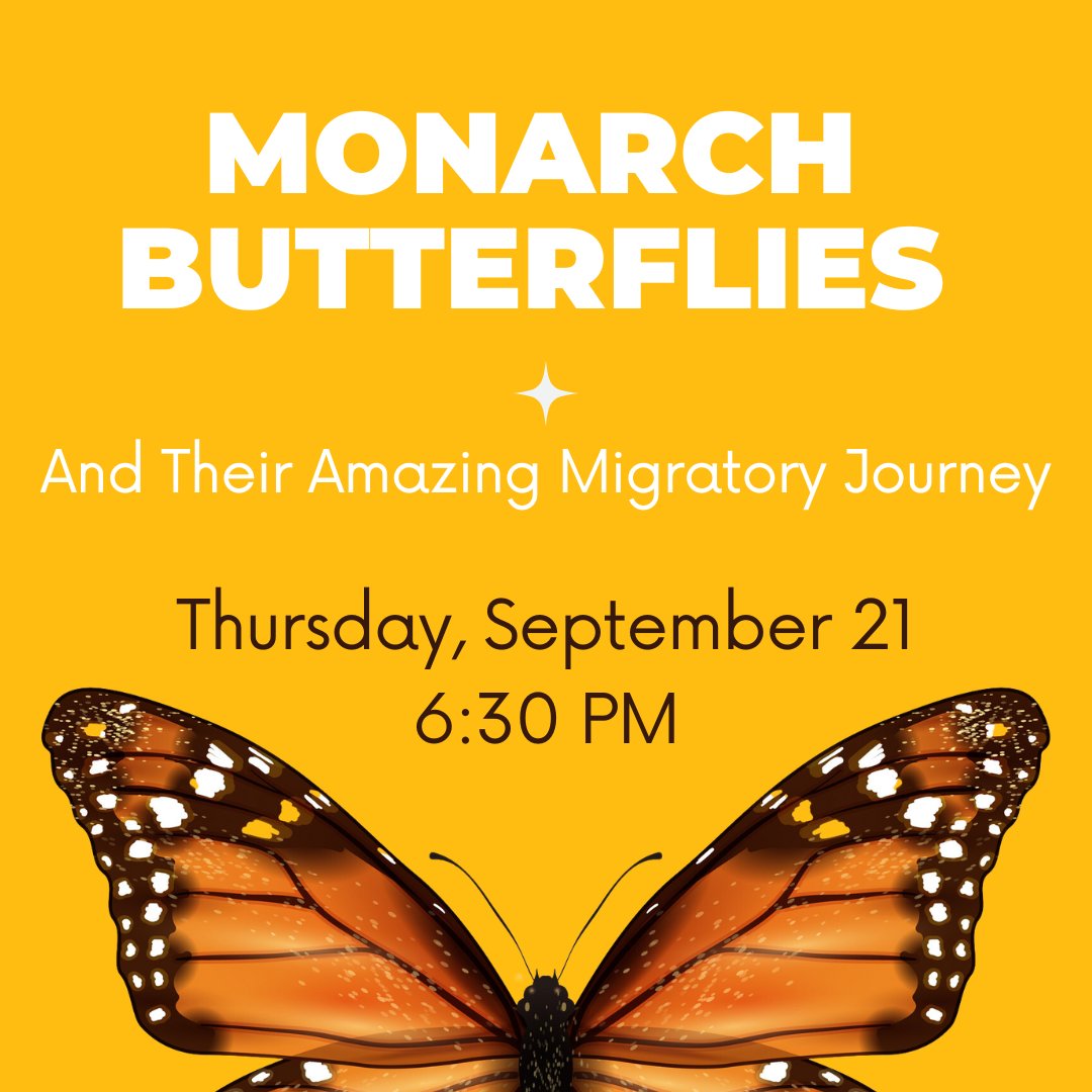 The Colony Public Library tweet media