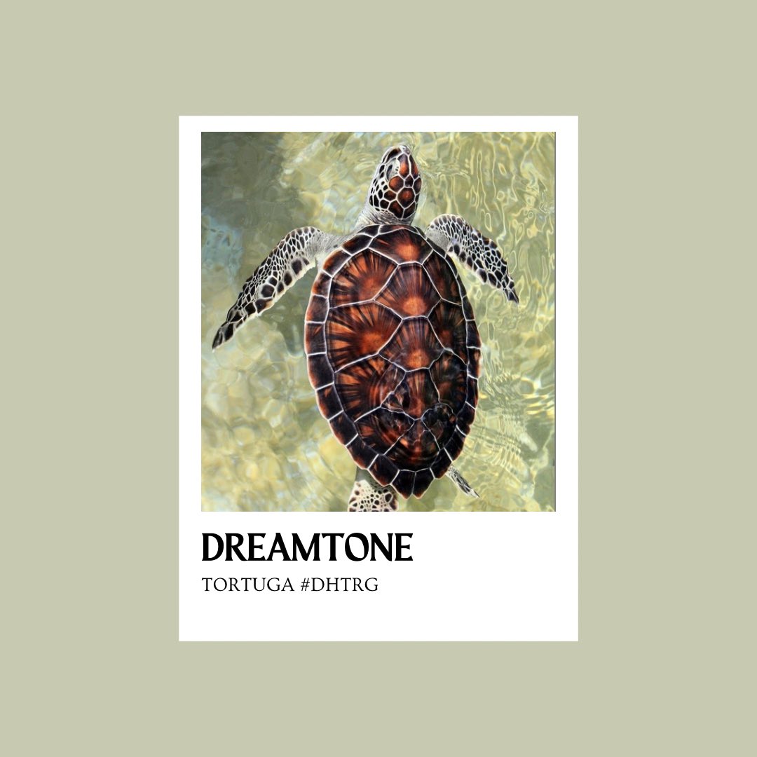DHBLUMRIE's tweet photo. ๐ฃ๏ธ ุ ๐ฌ ( . #DHTRG #DreamiesInGreece โก๏ธ. dr : ๐! ๐
๐ฎ๐บ โบ ๐ฉ๏ธ
Un viajecito mรกs con el rol y yo mรกs que emocionado. Primera vez que voy en un crucero, esperemos que no me ponga sea sick.. https://t.co/gq6zOLbGAa