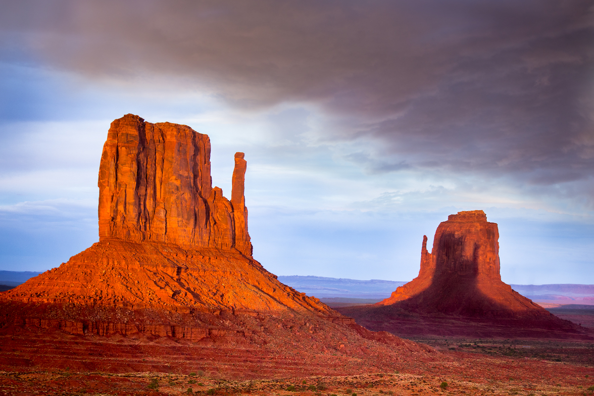 We have a new exhibition, Shadow opening next week! Join us for the Arts Benicia Members &amp; Artists Preview on Thursday, 9/21 from 6-7 pm and the Public Reception on Saturday, 9/23, from 4-6 pm,  at 1 Commandant's Lane, Benicia. 
Artwork by Anita Rama 
#ArtsBenicia