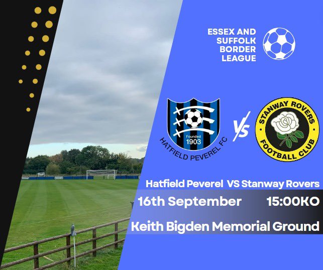 Hatfield Peverel FC tweet media