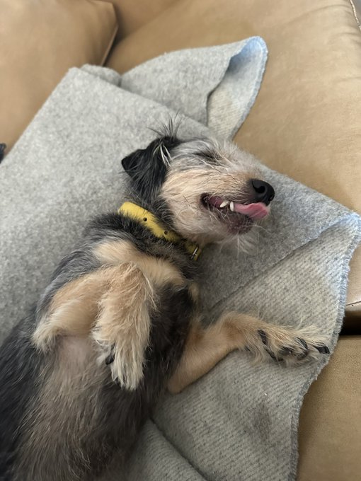 i&rsquo;m so jealous of her (she has no idea what a chief baseball officer is) https://t.co/Qunp8KxPcg