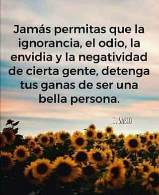 Jamás permitas que la ignorancia, odio y la envidia, de cierta gente, detenga tus ganas de ser una bella persona! 🙏☺️🌻😊