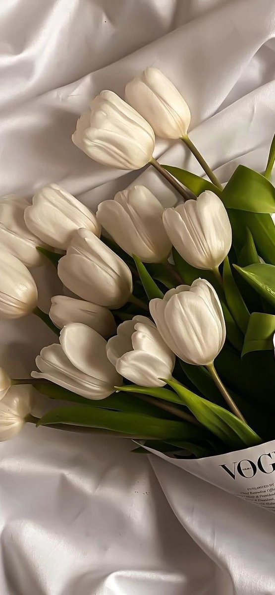 tinaydim's tweet photo. Herşeyin bir adı varken sana olan sevgimin 
kendime bile anlatamayışım🕊 https://t.co/62lqNfo9oW