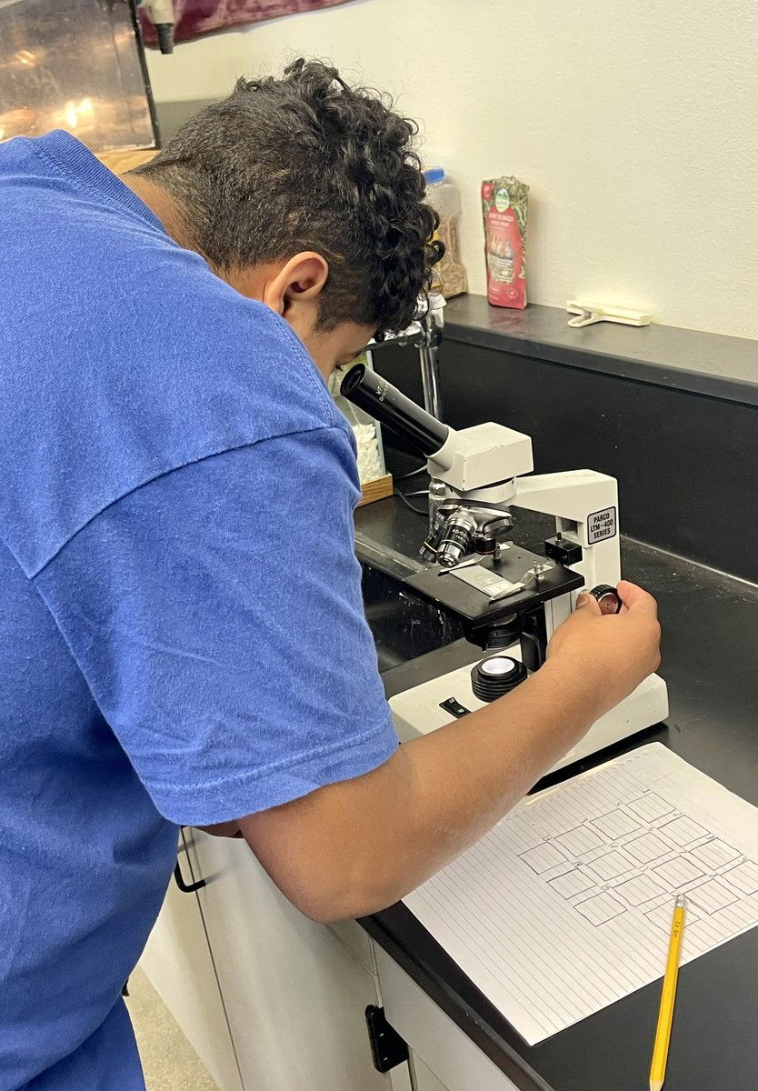 Michelle Wise, Ph.D. tweet media