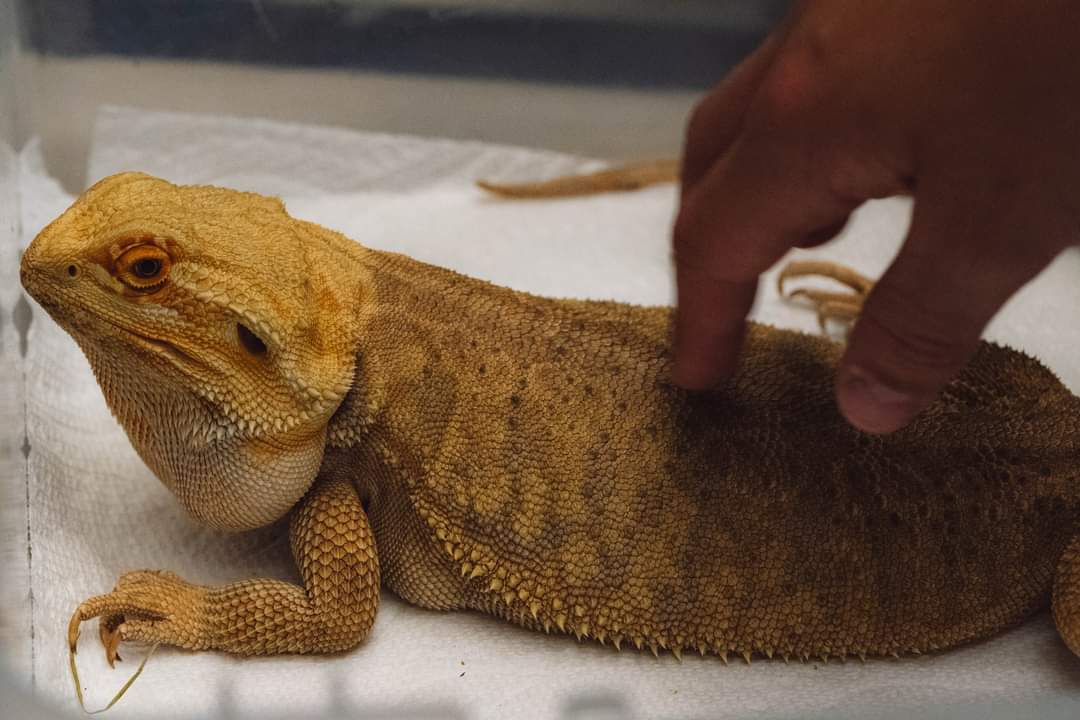 MiddleRiverview's tweet image. We had some visitors!
What a fun wellness activity. We love our RMS Community!
@AnglophoneEast @MiddleRiverview