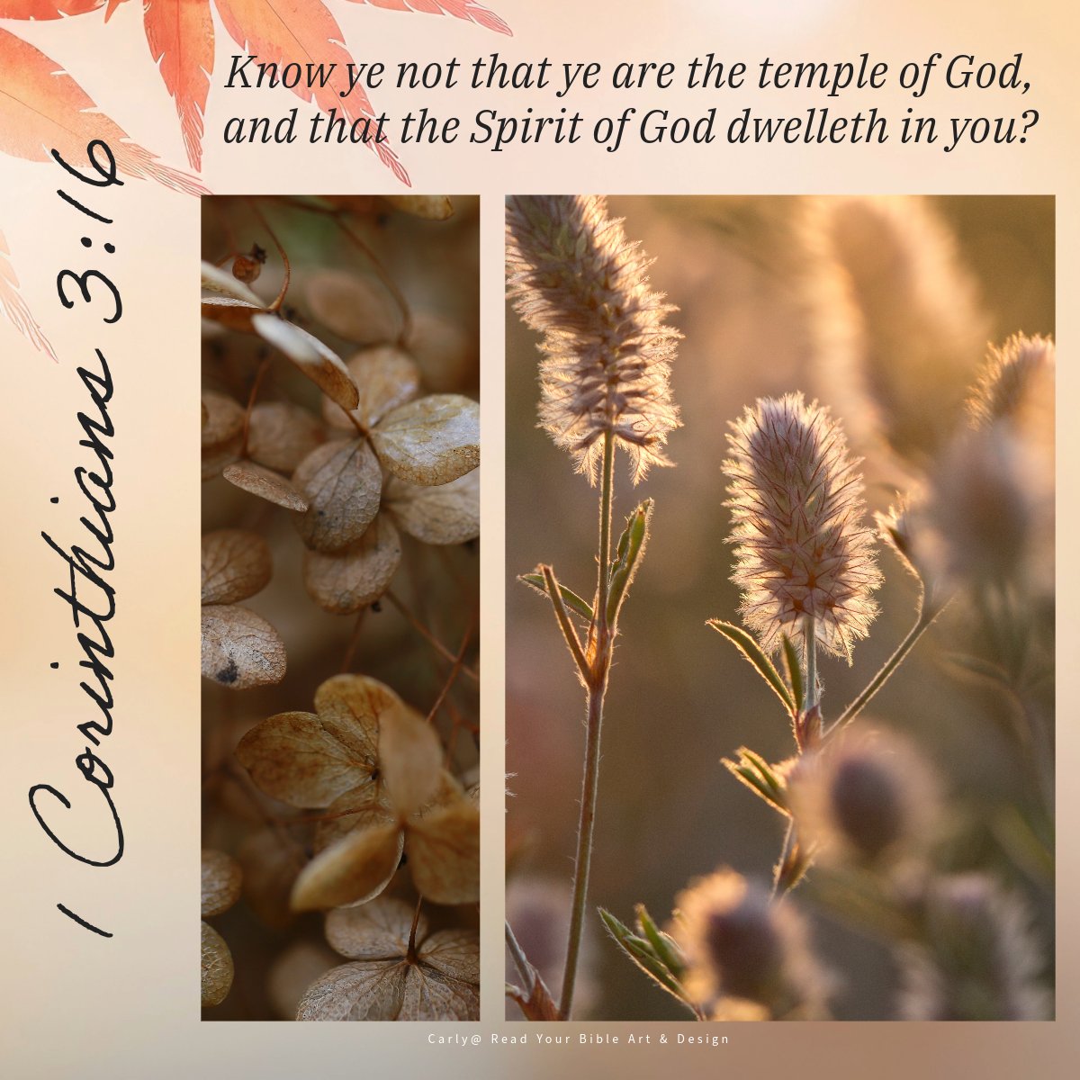 “Know ye not that ye are the temple of God, and that the Spirit of God dwelleth in you?” 1 Corinthians 3:16 (KJV)🕊️