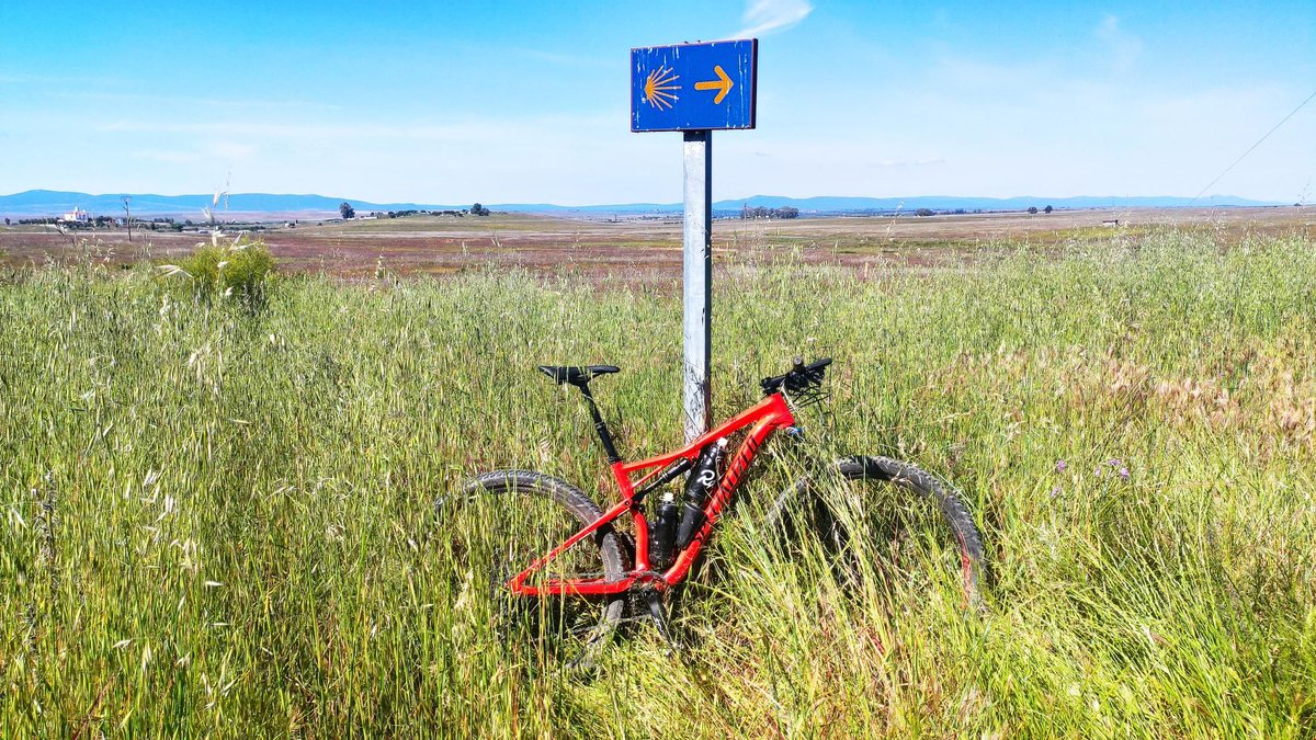 ¿Unir Drupal y ciclismo?

Cáceres - Sevilla en bici por la #VíadelaPlata para asistir a la <a href="/drupalcampspain/">DrupalCamp Spain</a>. 

Podéis ver de qué va el reto e incluso seguirnos en vivo en una pequeña web que hemos hecho en Drupal 10: drupalbike.com

Let's go! #drupal #bike