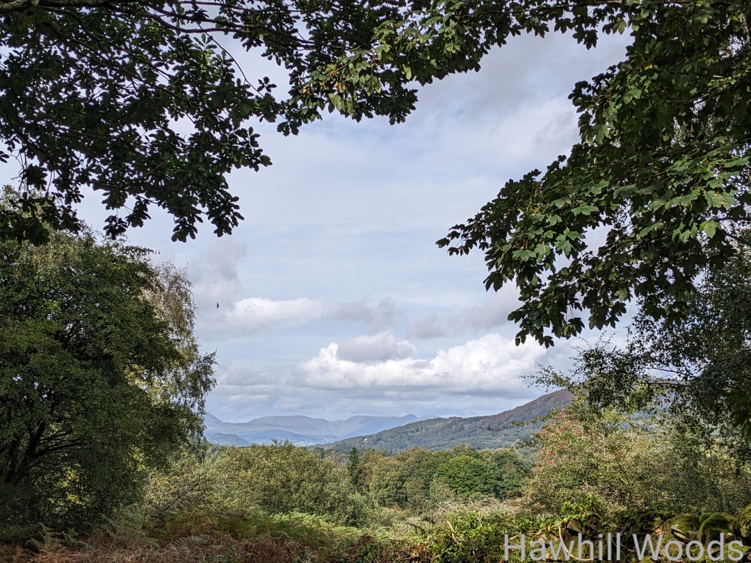 HawhillWoods's tweet photo. I love this view into the mountains of the Lake District. Can you see the F-15 that happened to be flying past?
#LakeDistrict #Aircraft #trees https://t.co/uS0TiL7IUT