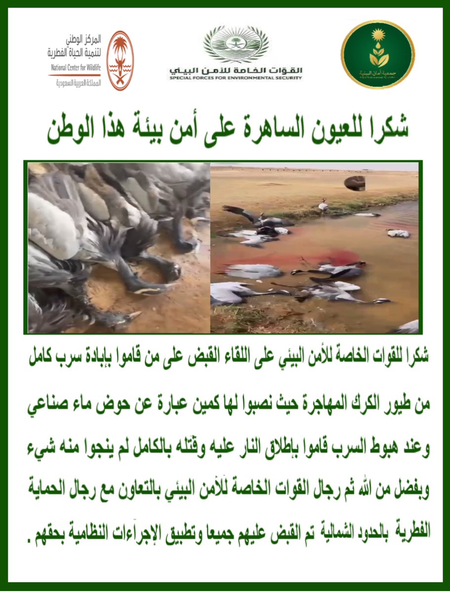 Aamanarar's tweet photo. شكرا للعيون الساهرة على أمن بيئة هذا الوطن رجال القوات الخاصة للأمن البيئي. https://t.co/0ZfD9osx3k