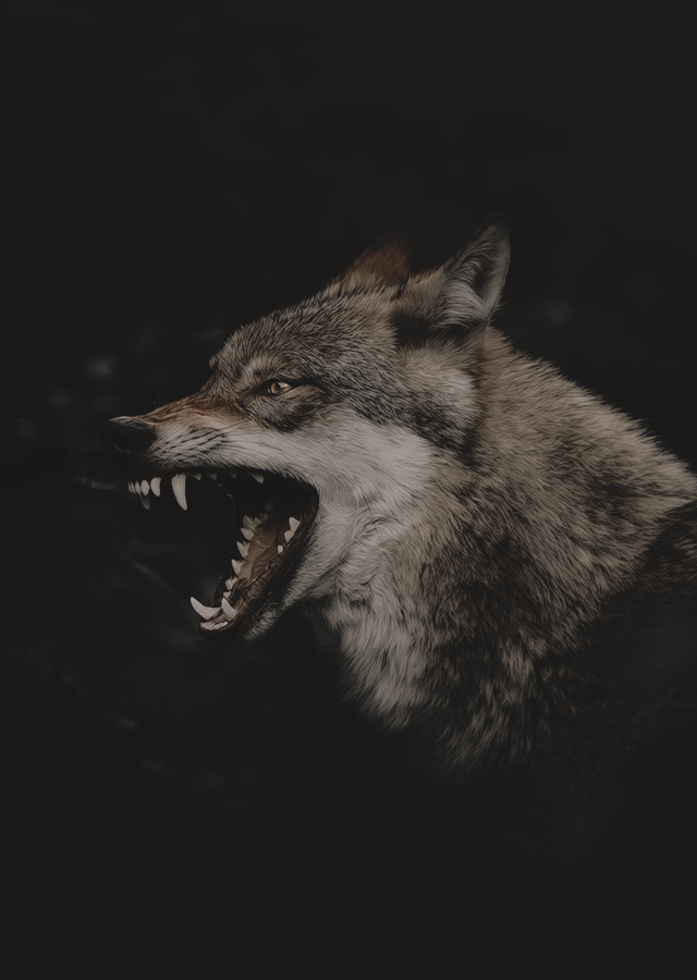 MortonhallRP's tweet photo. ❖ 𝐌𝐎𝐑𝐓𝐎𝐍𝐇𝐀𝐋𝐋 𝐀𝐁𝐁𝐄𝐘 ❖

𝐀 𝐜𝐮𝐫𝐬𝐞𝐝 𝐧𝐞𝐢𝐠𝐡𝐛𝐨𝐮𝐫𝐡𝐨𝐨𝐝 𝐢𝐧 𝐚 𝐝𝐨𝐨𝐦𝐞𝐝 𝐭𝐨𝐰𝐧.

Rol sobrenatural ambientado en Edimburgo, en el año 1905. https://t.co/OqlfAjHDA7